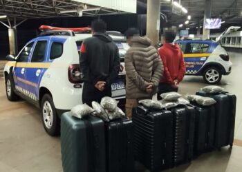 Quase 92 quilos de maconha são descobertos em três malas na rodoviária de Campo Grande