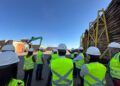 Florestas plantadas ganham espaço e movimentam economia de Campo Grande