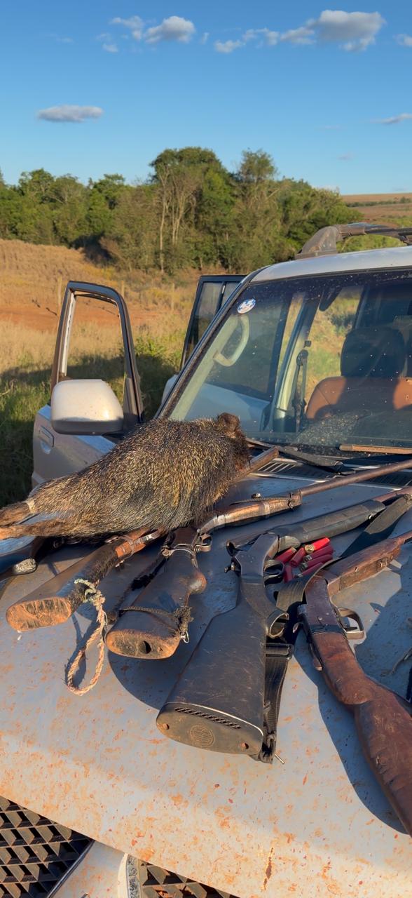 Seis homens são presos com seis espingardas e animais silvestres abatidos em MS
