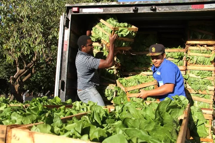 Alimentos da agricultura familiar chegam à merenda de 207 escolas