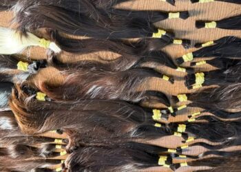Roubo de cabelo humano de R$ 440 mil no Paraguai leva à prisão de dois suspeitos em Campo Grande Roubo de cabelo humano de R$ 440 mil no Paraguai leva à prisão de dois suspeitos em Campo Grande