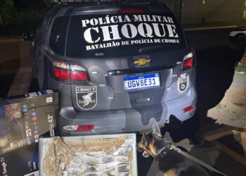 Droga camuflada dentro de TV é encontrada por cão farejador em Campo Grande Droga camuflada dentro de TV é encontrada por cão farejador em Campo Grande