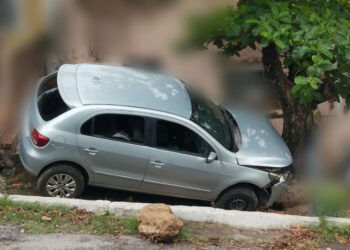 Falha no freio faz motorista bater contra muro e árvore Falha no freio faz motorista bater contra muro e árvore