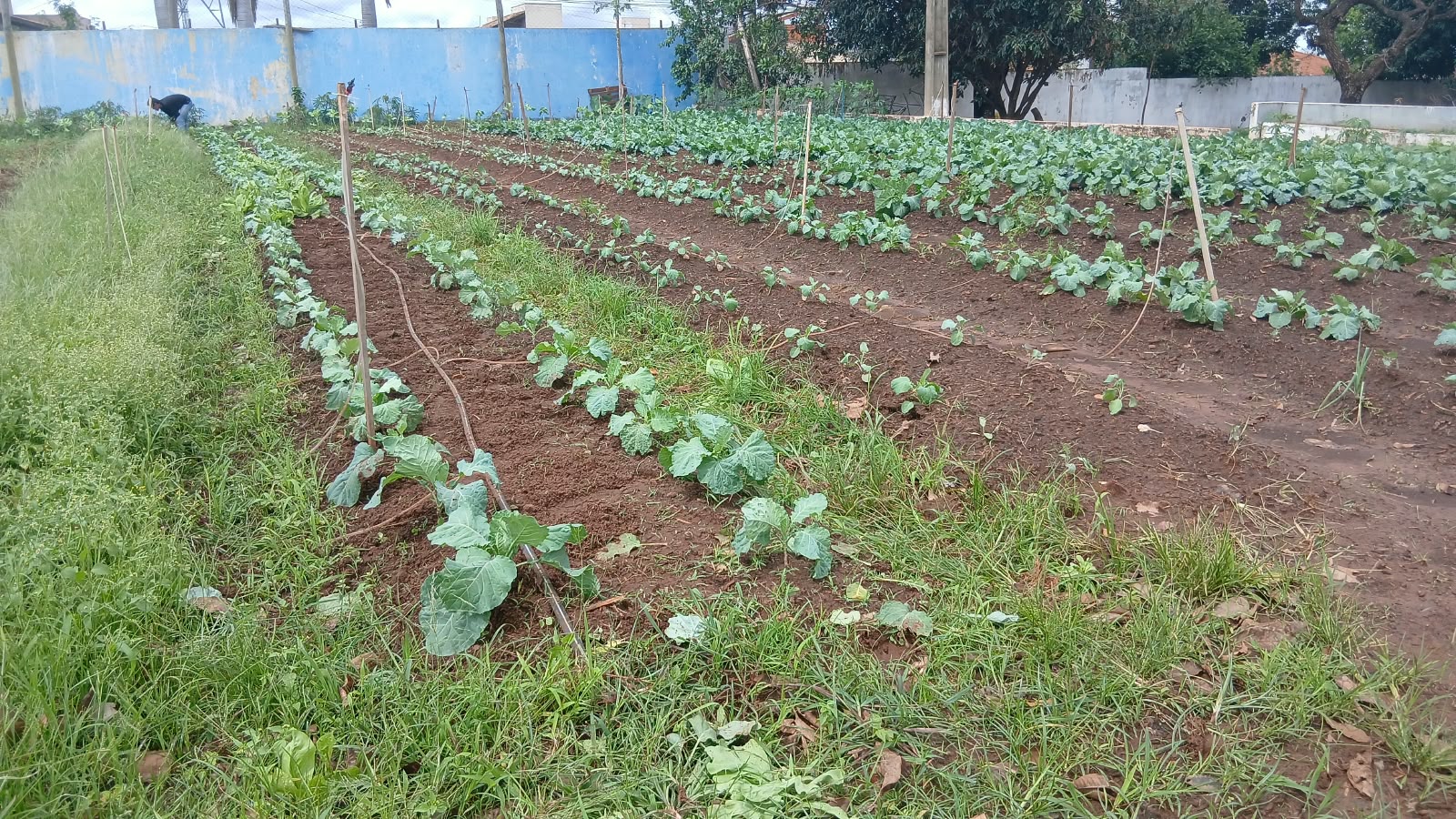Evento no campo reúne atividades práticas e ações de educação ambiental