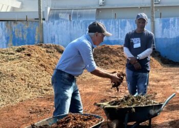 Da sobra ao solo fértil: produção de adubo agroecológico chega a 40 toneladas