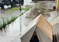 Magro, doente e exposto à chuva, cachorro é resgatado de maus-tratos no interior de MS Magro, doente e exposto à chuva, cachorro é resgatado de maus-tratos no interior de MS