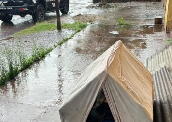 Magro, doente e exposto à chuva, cachorro é resgatado de maus-tratos no interior de MS Magro, doente e exposto à chuva, cachorro é resgatado de maus-tratos no interior de MS