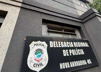 Cachorra morre após ser atacada por pitbull no interior de MS
