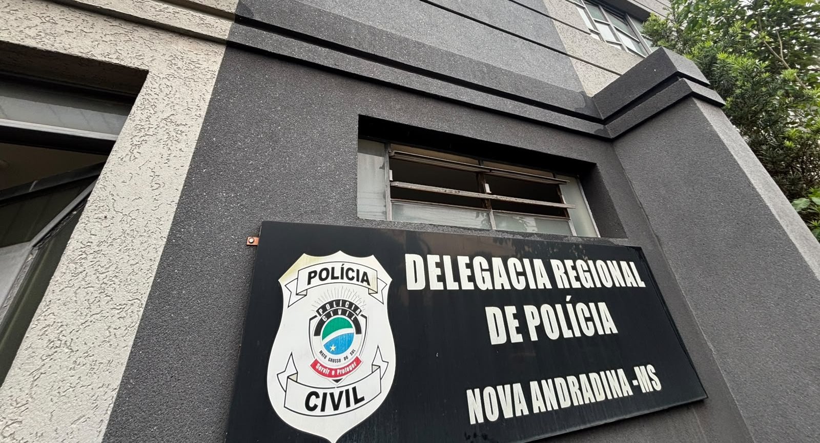 Cachorra morre após ser atacada por pitbull no interior de MS