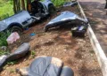Saveiro se parte ao meio após bater em árvore e deixa dois trabalhadores em estado grave