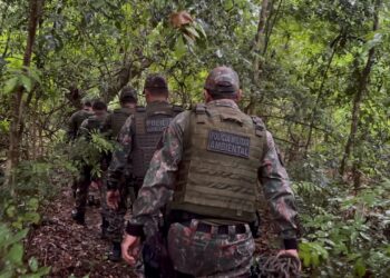 Polícia Militar Ambiental intensifica fiscalização no Pantanal antes do período de piracema Polícia Militar Ambiental intensifica fiscalização no Pantanal antes do período de piracema