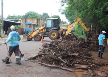 Defesa Civil intensifica ações após temporal provocar estragos e alagamentos em Campo Grande Defesa Civil intensifica ações após temporal provocar estragos e alagamentos em Campo Grande