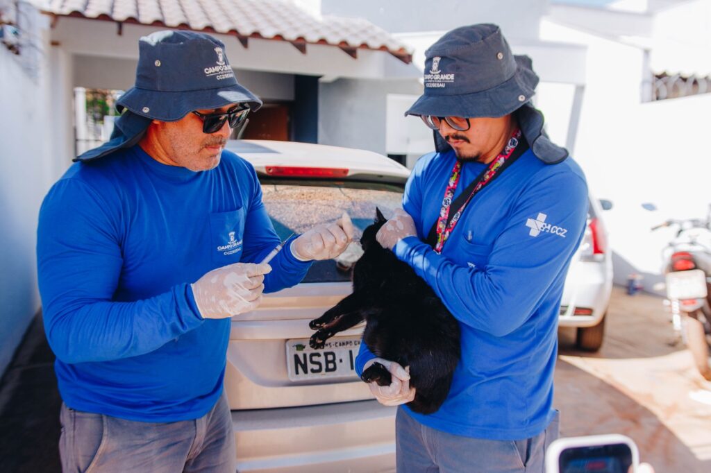 Vacina antirrábica reforça a proteção de cães e gatos contra a raiva