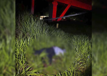 Homem morre eletrocutado ao tentar furtar cabos de energia