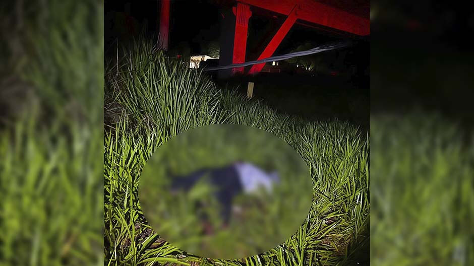 Homem morre eletrocutado ao tentar furtar cabos de energia